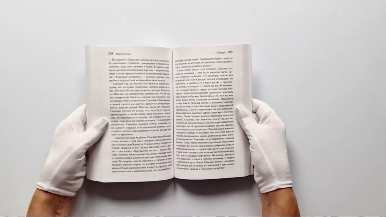 Книга Сансиро (Сосэки Нацумэ) — 4