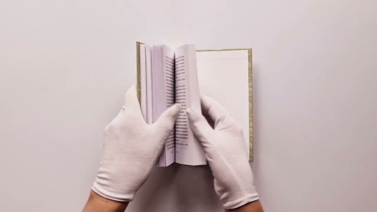 Книга Шагреневая кожа (Оноре де Бальзак) — 4