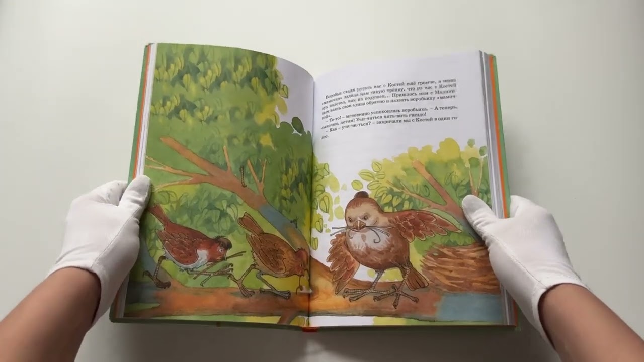 Книга Баранкин, будь человеком! (Валерий Медведев) — 3