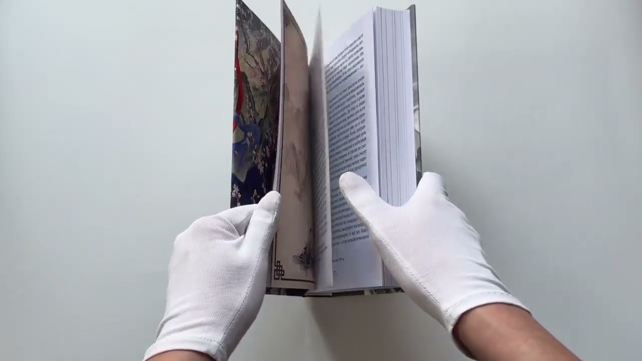 Книга Небесная собака. Спасение души несчастного. Том 1. Новелла (Лин Няннян) — 3