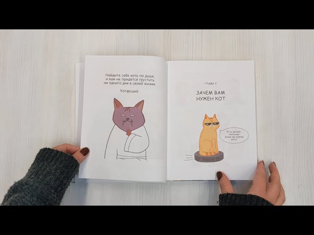 Лакшери-Котакшери. Смешные комиксы из жизни котиков и их человеков 2942514 — 3