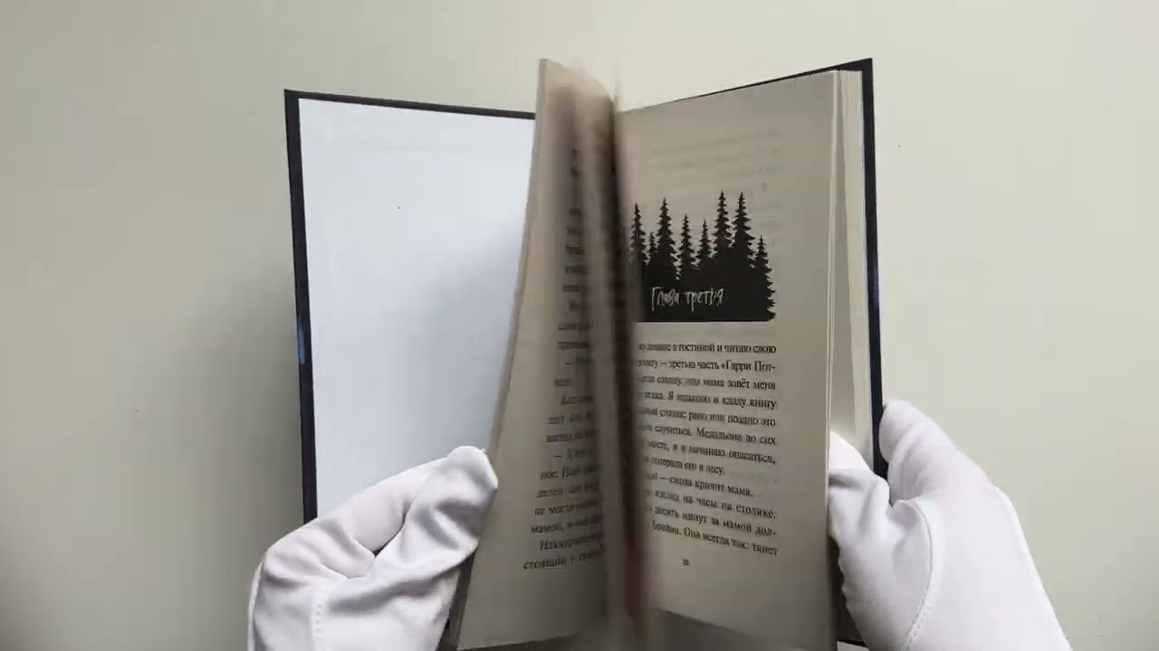 Книга Лаванда Рейн и лесной призрак (#1) (Джессика Ренвик) — 4