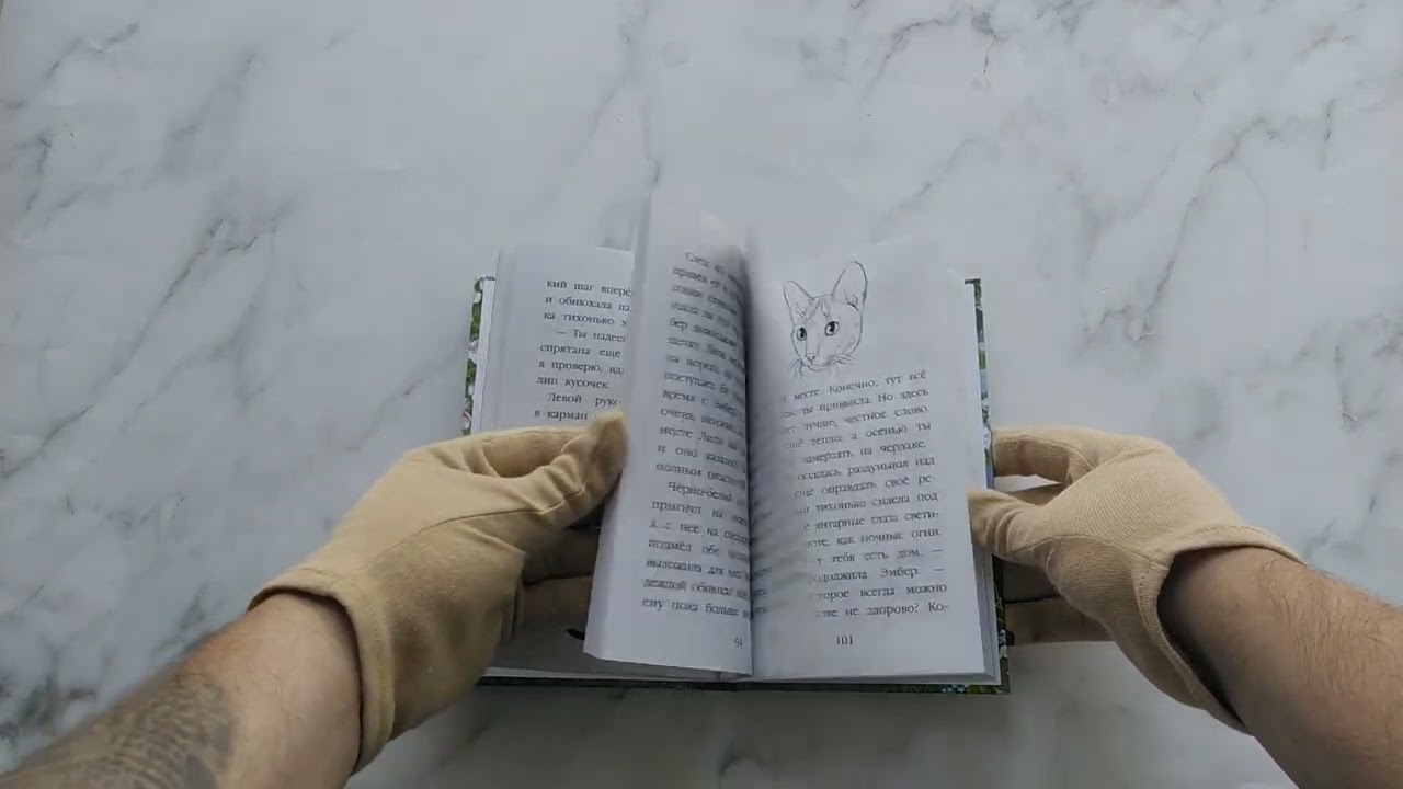 Книга Тайна третьего котёнка (Канити Коруэл) — 3