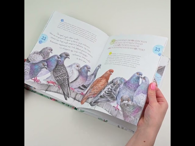 Книга Птицы в городе (Наталья Габеева) — 3