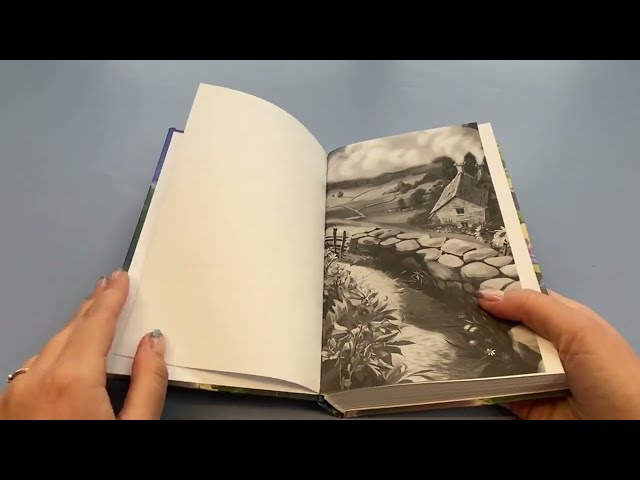 Книга Три секрета под одной крышей (Холли Вебб) — 3