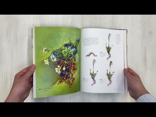 Книга Нарисуй свой сад. Вдохновляющие техники ботанического рисунка (Натали Ратковски) — 3