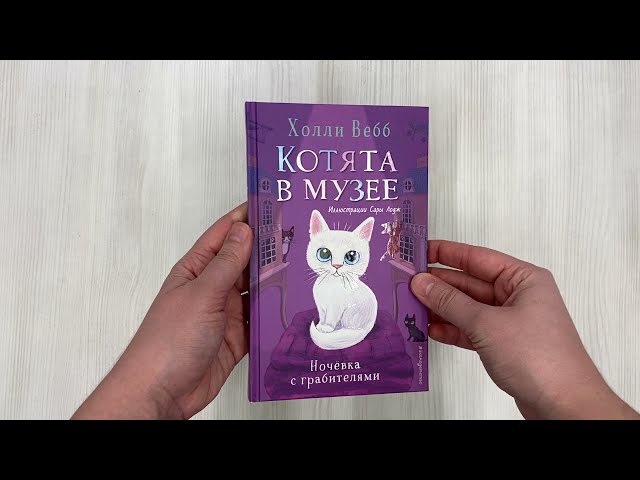 Книга Ночёвка с грабителями (выпуск 1) (Холли Вебб) — 3