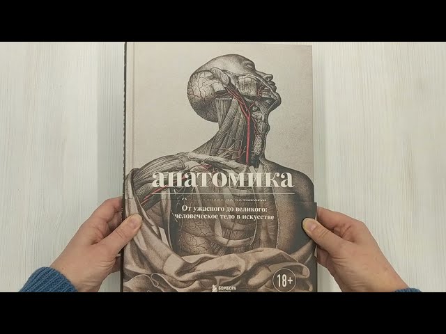 Книга Анатомика. От ужасного до великого: человеческое тело в искусстве (Джоанна Эбенштейн) — 3