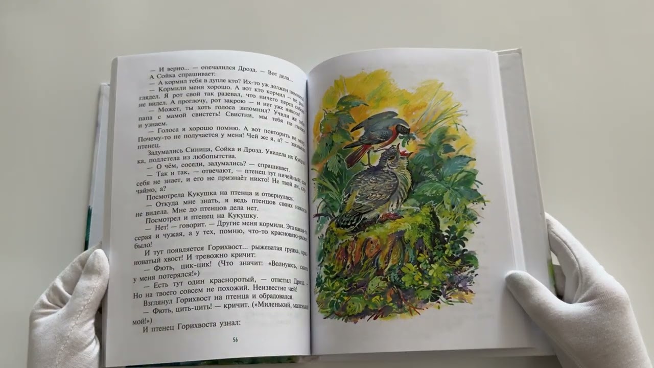 Книга Рассказы и сказки о животных (ил. С. Ярового, В. Бастрыкина) (у.т.) (Николай Сладков, Константин Ушинский, Дмитрий Мамин-Сибиряк) — 4
