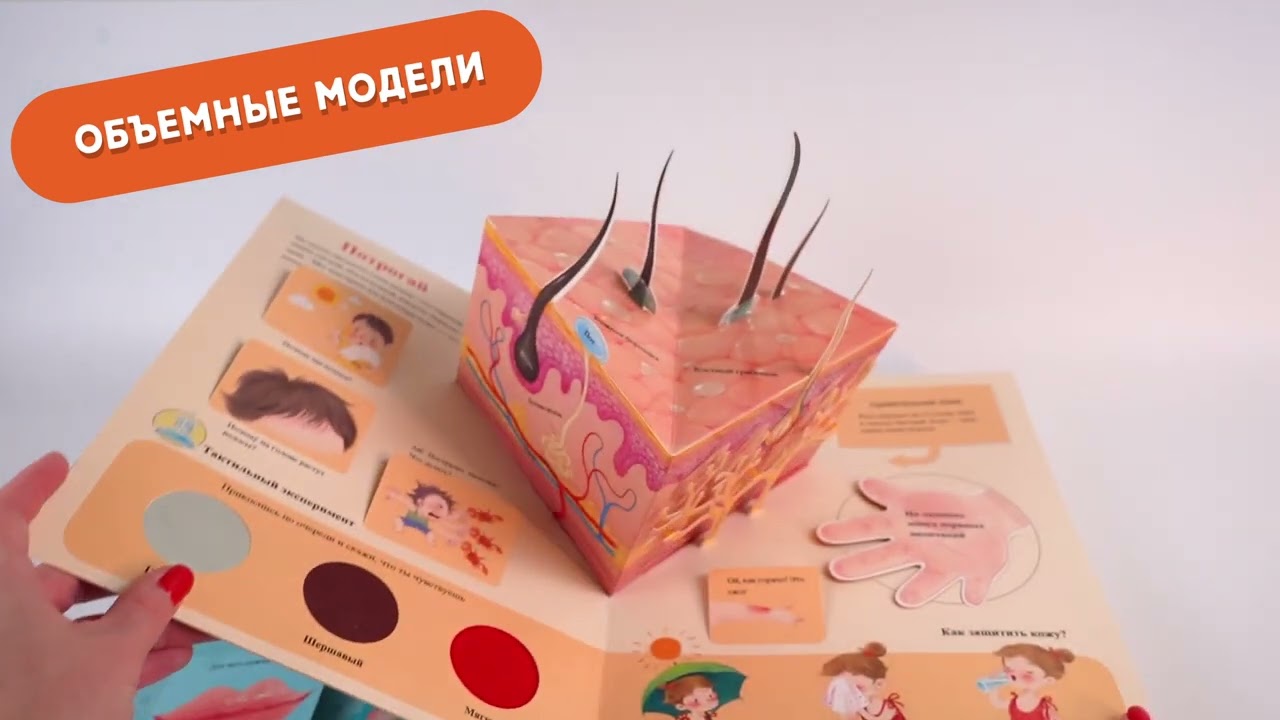 Книга Все секреты человека (Марина Сушкова) — 3
