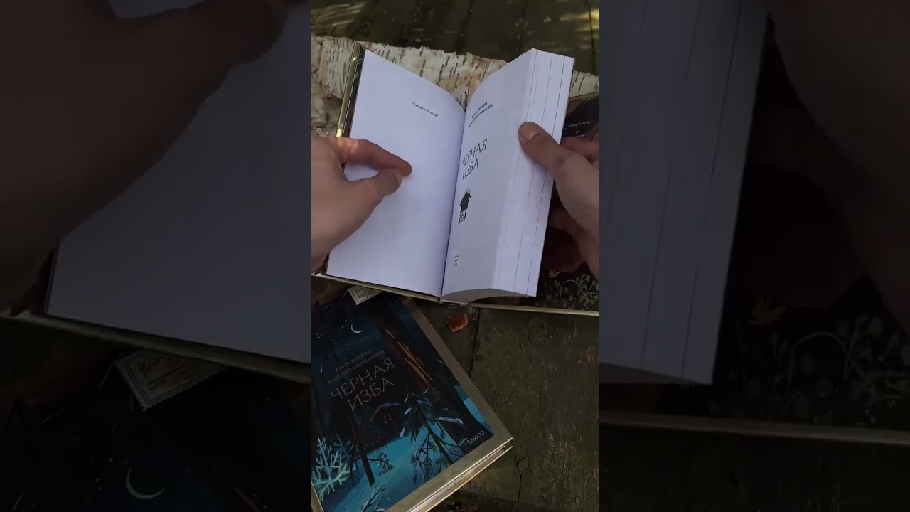 Книга Черная изба (Анна Лунёва, Наталия Колмакова) — 4