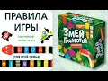 Настольная игра "Змей грамотей" — 2978600 — 3