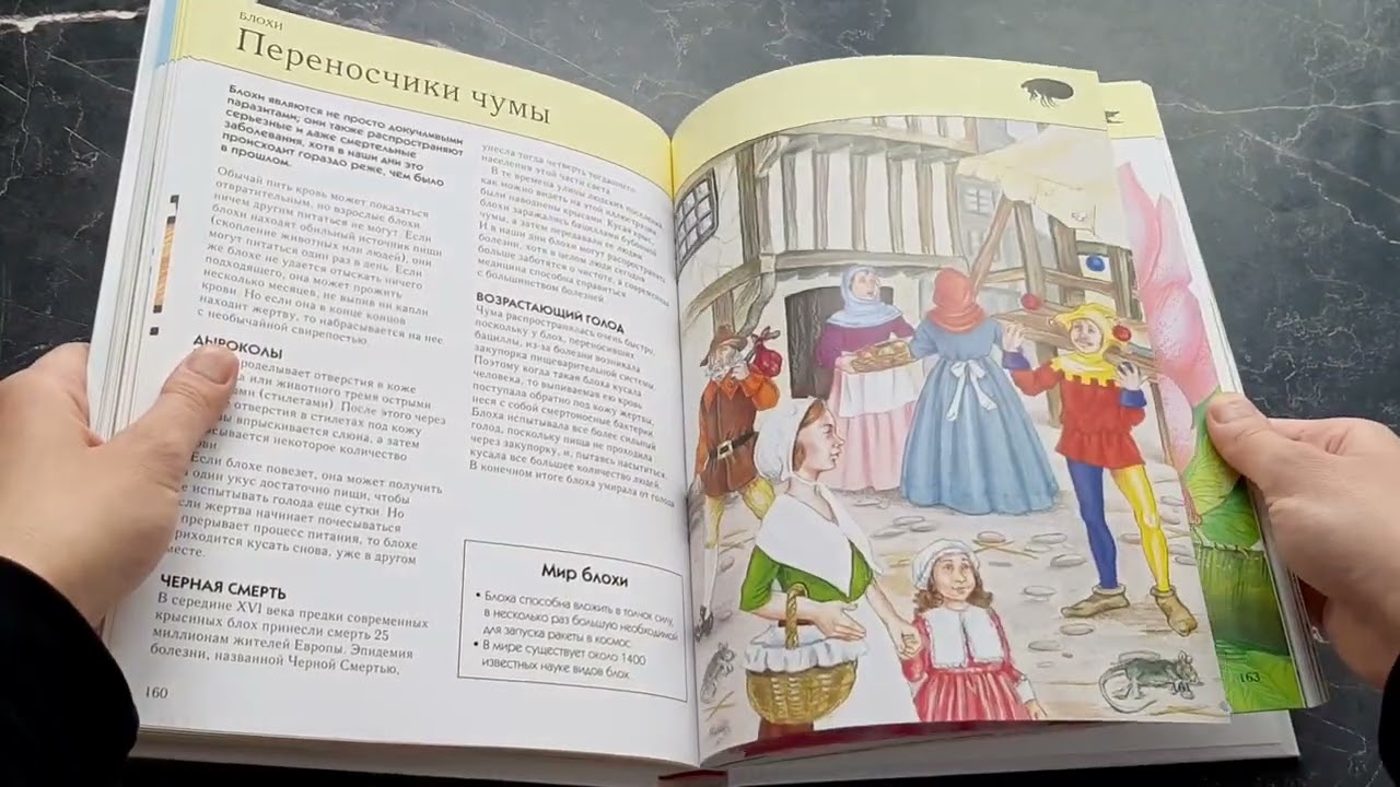 Книга Насекомые. Полная энциклопедия (мел.) (Тамара Грин) — 3