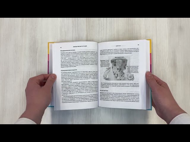 Книга Омолоди свой мозг за 100 дней. Как улучшить память и сохранить здоровье до глубокой старости (Сабина Бреннан) — 3