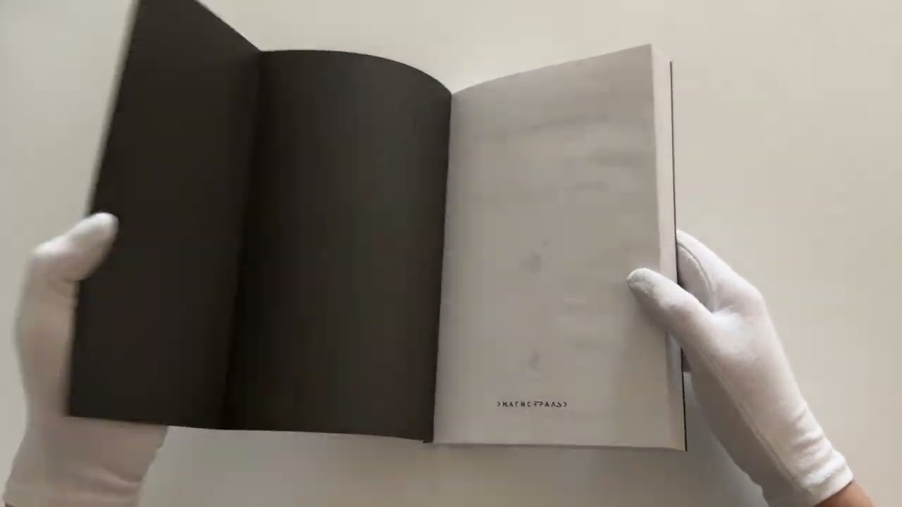 Книга Капитанская дочка (Александр Пушкин) — 3