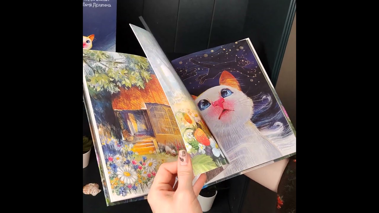 Книга Бонифаций на каникулах (Лада Бакал) — 3