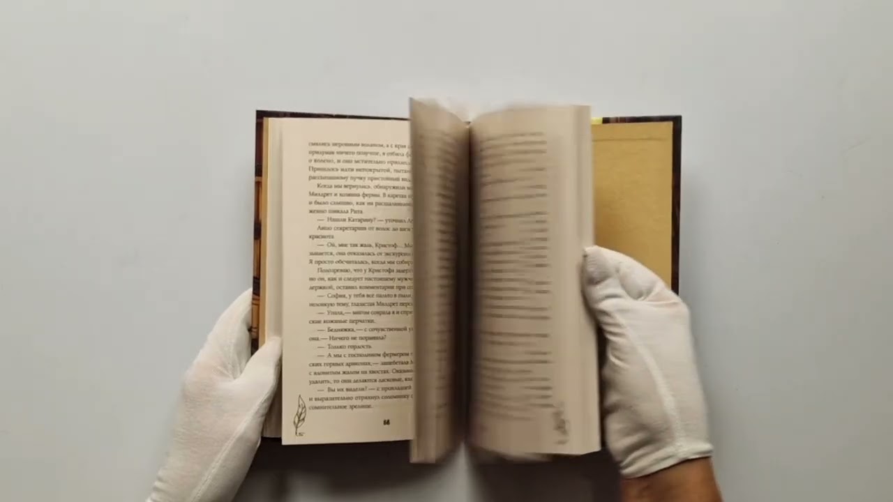 Книга Поймать Бевиса Броза! (Марина Ефиминюк) — 3