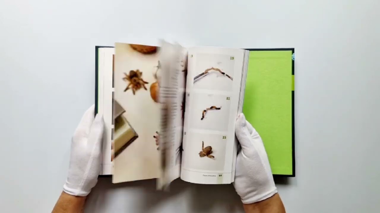 Книга Страшно милые амигуруми. Очаровательные миниатюрные создания в технике микровязания крючком (Анастасия Кирсанова) — 3