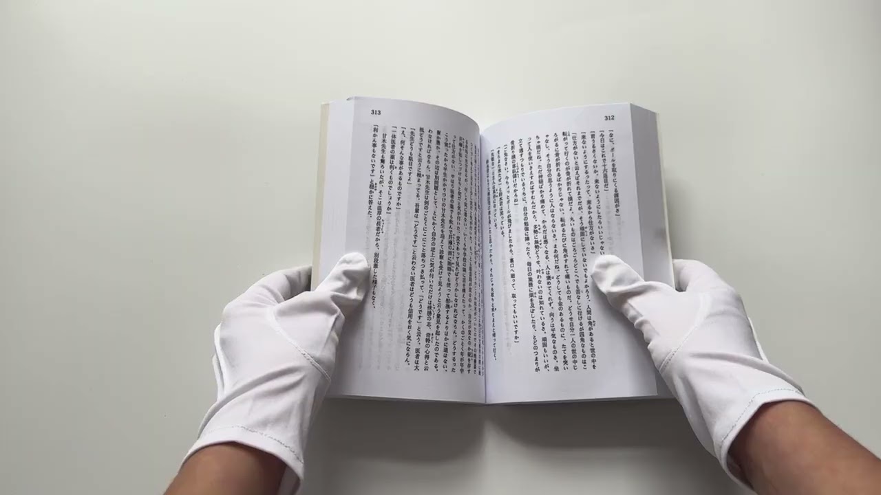 Книга Wagahai wa neko de aru = Ваш покорный слуга кот (Сосэки Нацумэ) — 3