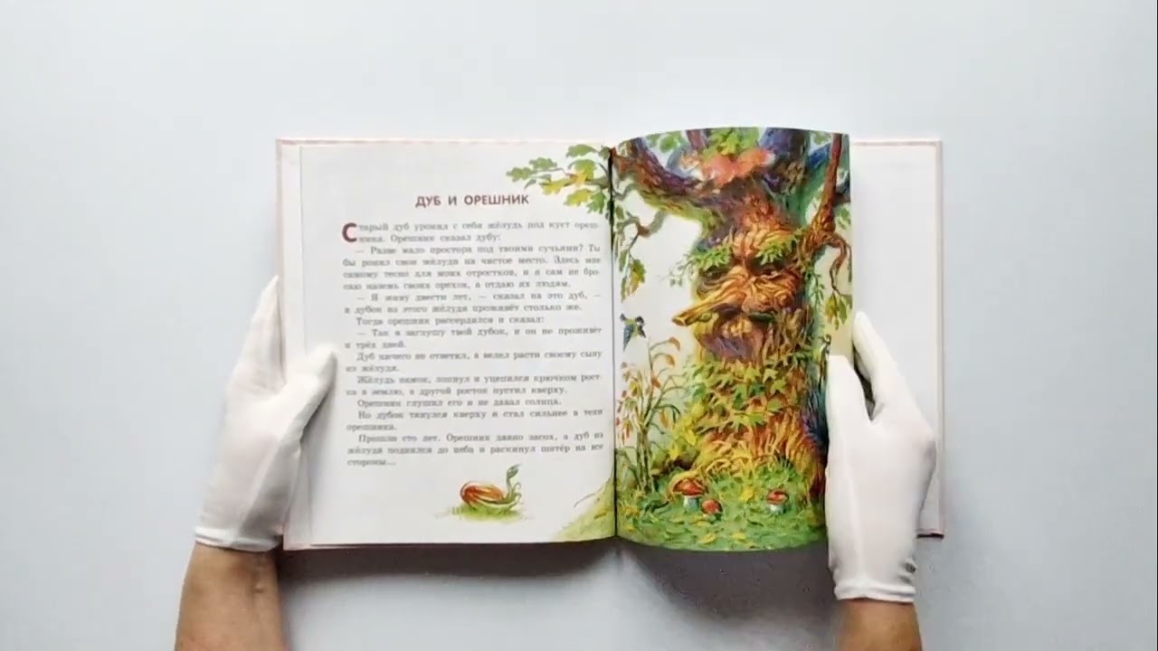 Книга Лучшие сказки и рассказы для детей (ил. В. Канивца) (Лев Толстой) — 4