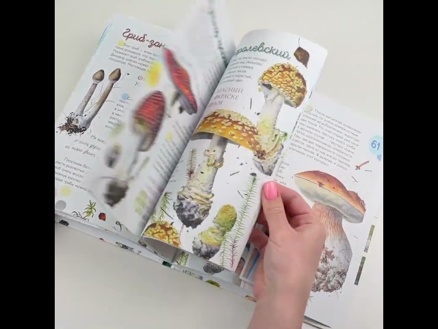 Книга Грибы в лесу (Ирина Уханова) — 3