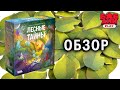 Настольная игра "Лесные тайны" — 2962204 — 3