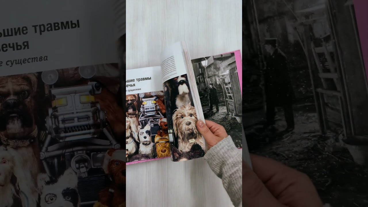 Книга Уэс Андерсон. Все фильмы. От "Бутылочной ракеты" до "Города астероидов" (Кристоф Нарбонн) — 4