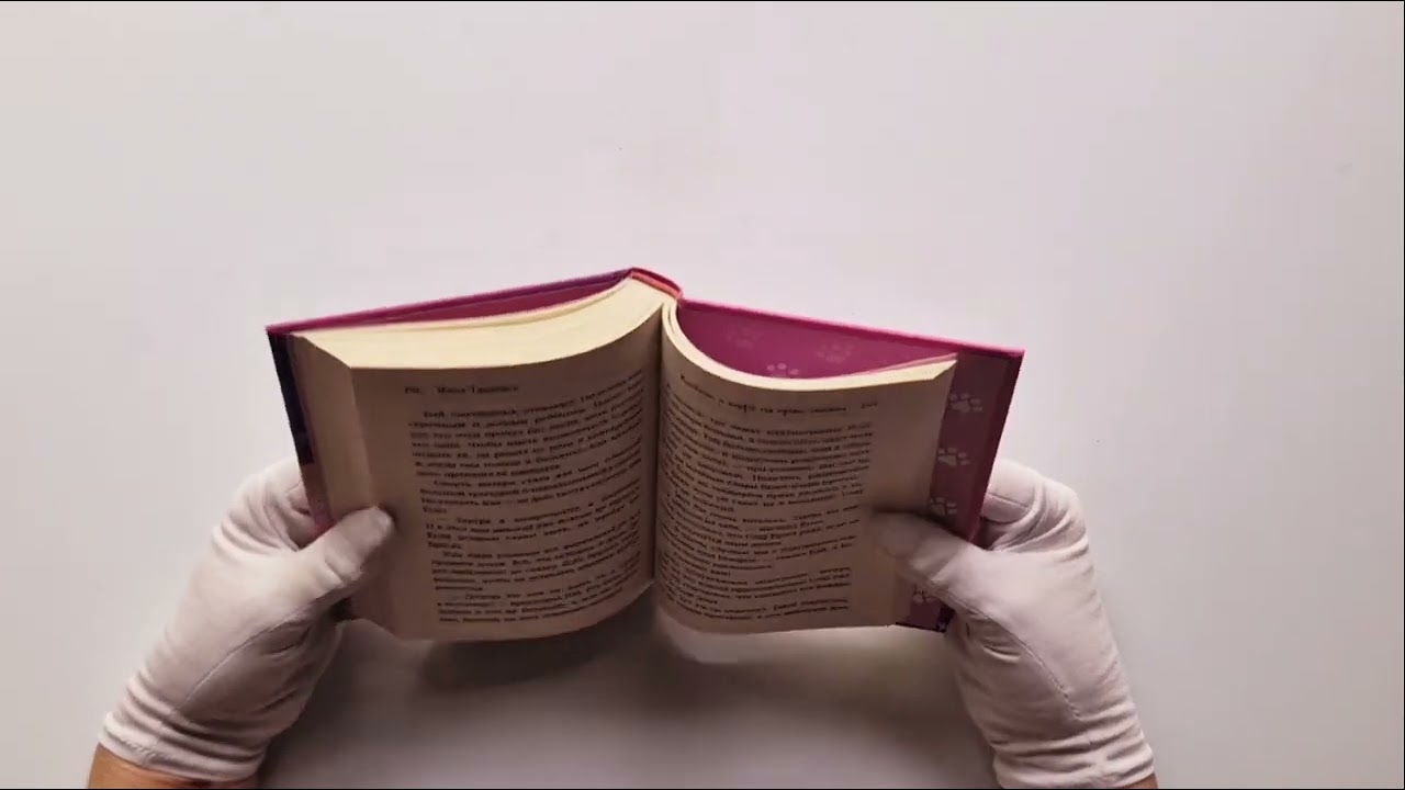 Книга Котенок и кафе на краю океана (Юта Такахаси) — 4