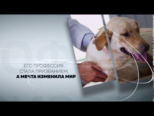 Книга Слушая животных: история ветеринара, который продал "Астон Мартин", чтобы спасать жизни (от звезды сериала THE SUPERVET) (Ноэль Фитцпатрик) — 3
