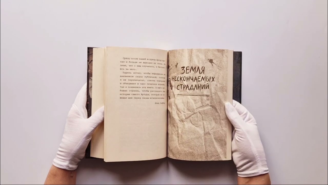 Книга Плюшевая голова (Влад Райбер) — 5