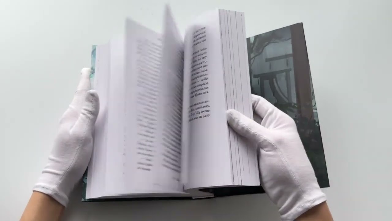 Книга Система для друзей. Том 1. Новелла (Люцида Аквила) — 3
