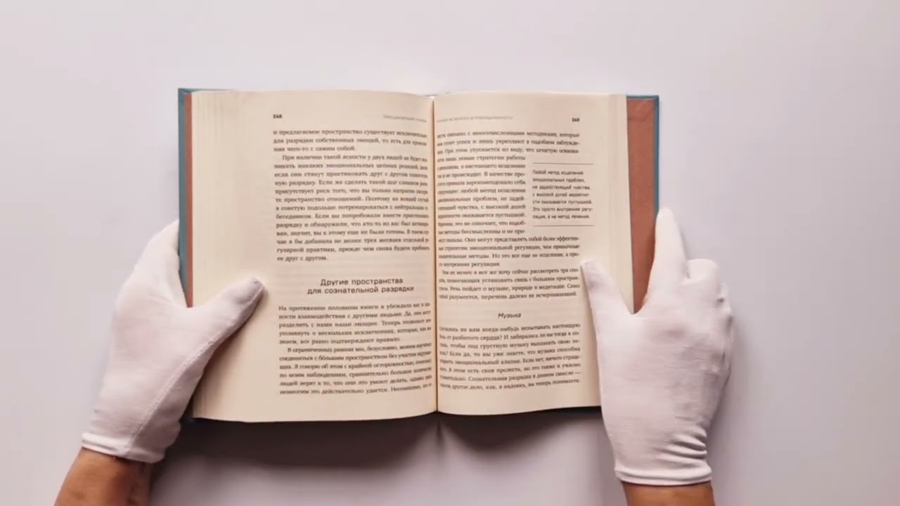 Книга Эмоциональный багаж. Как научиться управлять своими эмоциями и перестать концентрироваться на негативе (Вивиан Диттмар) — 3