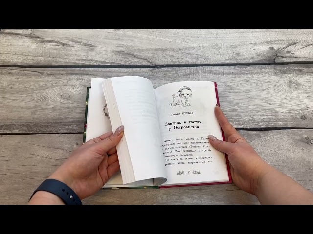 Книга Щенок Холли, или Туфли для ведьмы (зимн.) (Дейзи Медоус) — 3