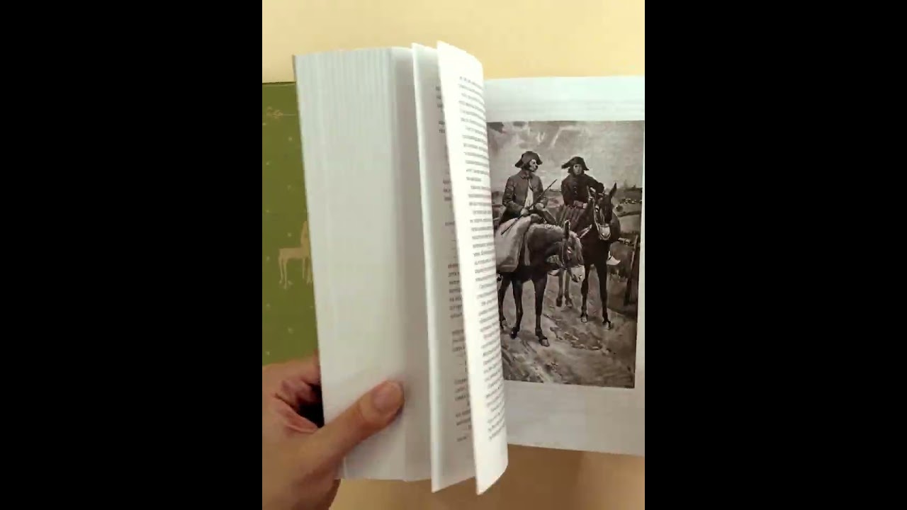 Книга Ожерелье королевы. Анж Питу (Александр Дюма (отец)) — 4
