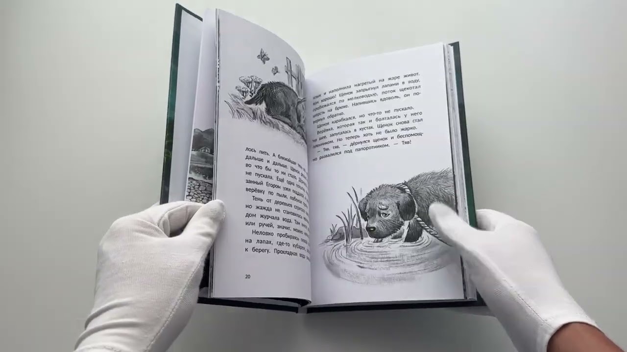 Книга Пойдем со мной? (Нюта Яковлева) — 3
