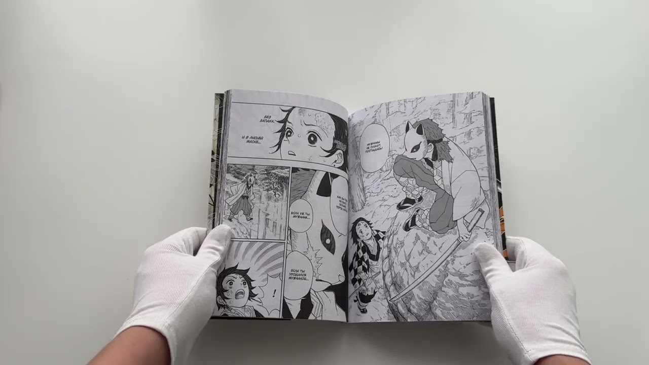 Истребитель демонов. Том 1 (Клинок, рассекающий демонов / Demon Slayer: Kimetsu no Yaiba). Манга 2912095 — 4