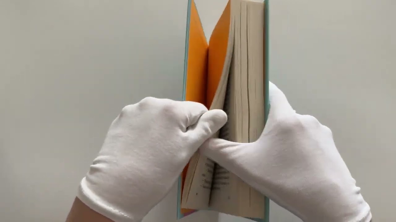 Книга Сказка о снежной принцессе (Ася Лавринович) — 3