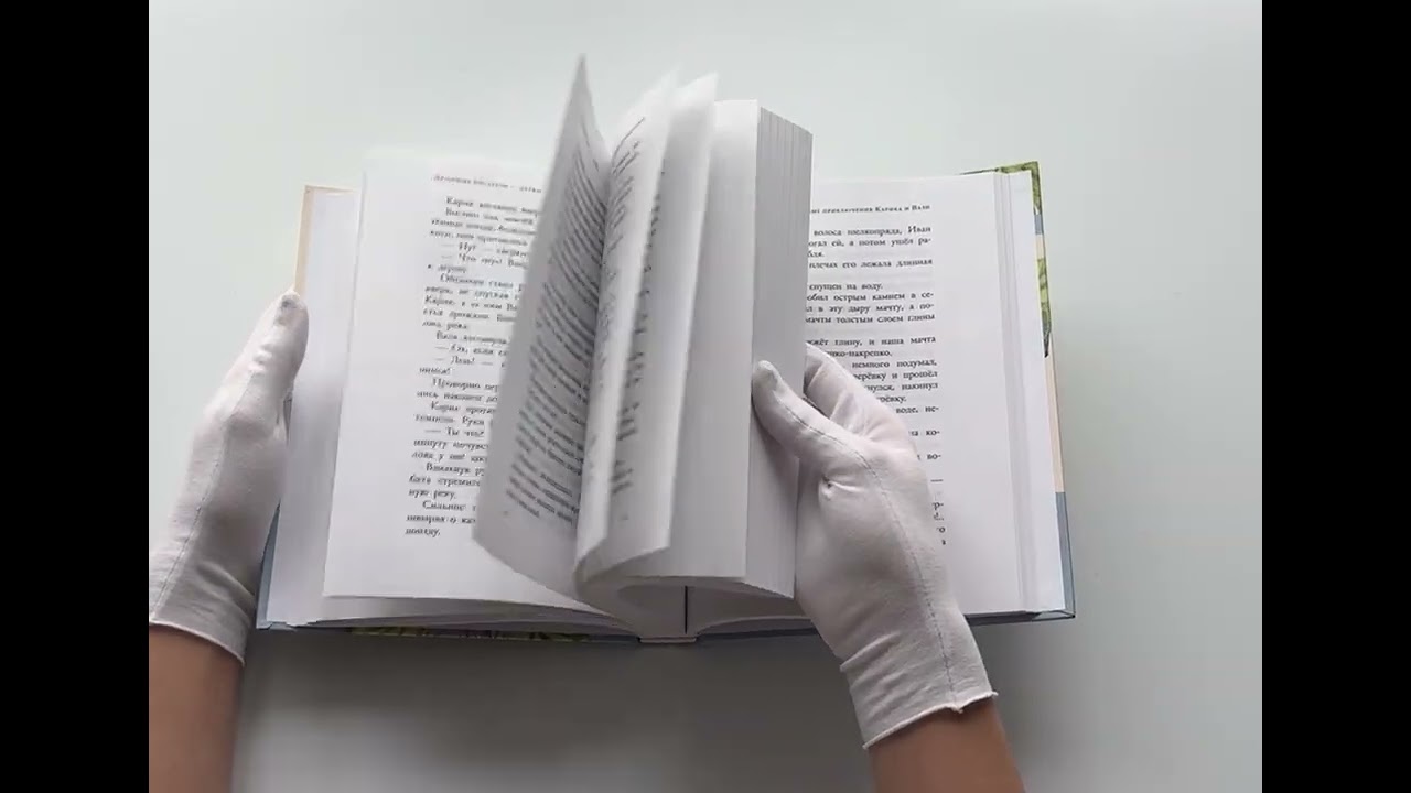 Книга Необыкновенные приключения Карика и Вали (Ян Ларри) — 3