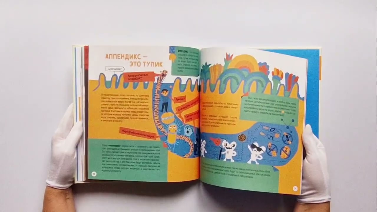 Книга Приключения Тима в мире бактерий (Маша Косовская, Алла Тяхт, Дмитрий Алексеев) — 4