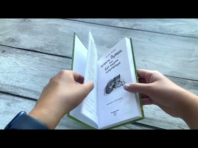 Книга Котёнок Рыжик, или Как найти сокровище : повесть (Холли Вебб) — 3