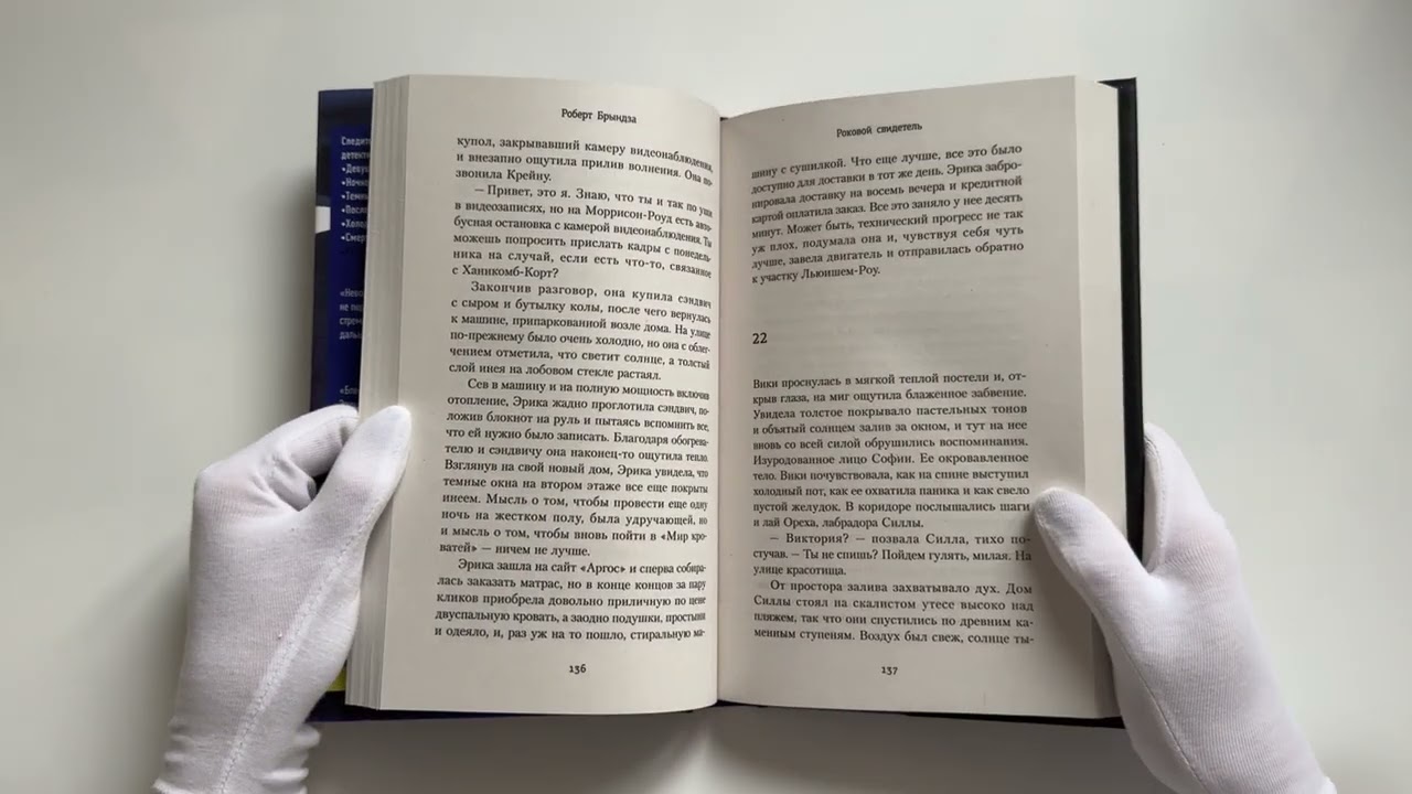 Книга Роковой свидетель (Роберт Брындза) — 3