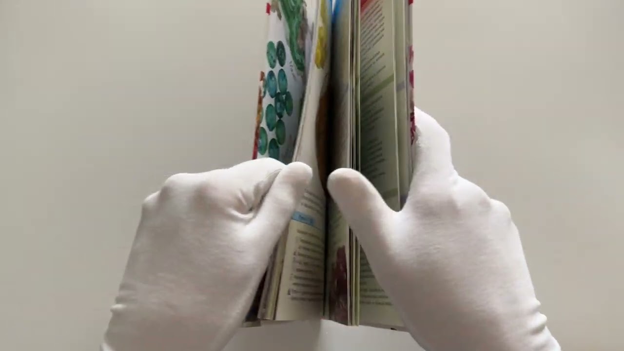 Книга Минералы России. Определитель (Михаил Генералов) — 3