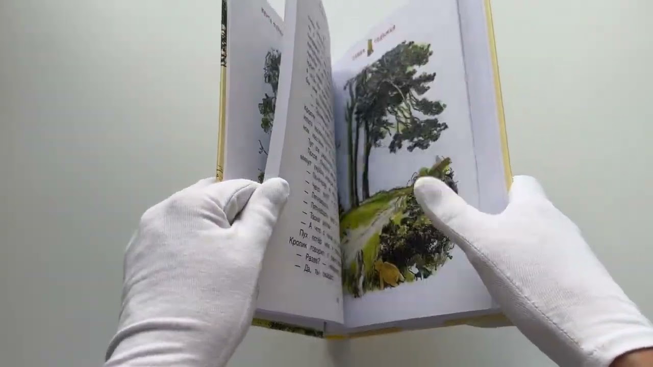 Книга Винни-Пух и все-все-все (Алан Милн) — 3