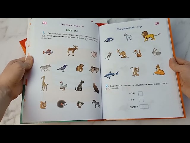 Книга Готов ли я к школе? Диагностика для детей 6-7 лет (Светлана Пятак, Ирина Мальцева) — 4