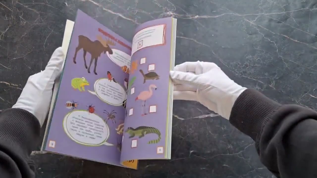 Книга В мире животных. Игры, лабиринты и удивительные факты () — 3