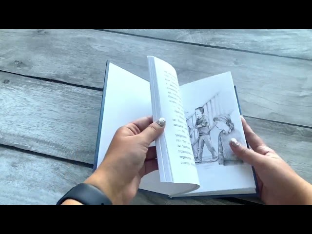 Книга Котенок Одуванчик, или Игра в прятки: повесть (Холли Вебб) — 3