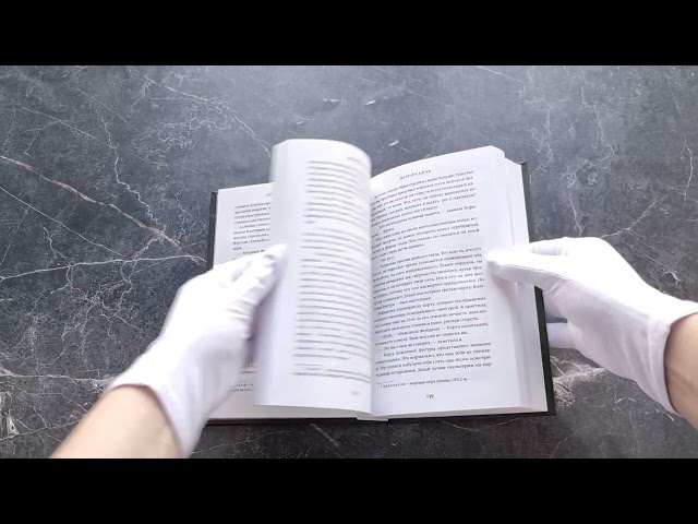 Книга Двор Ураганов (#3) (Виктор Диксен) — 3