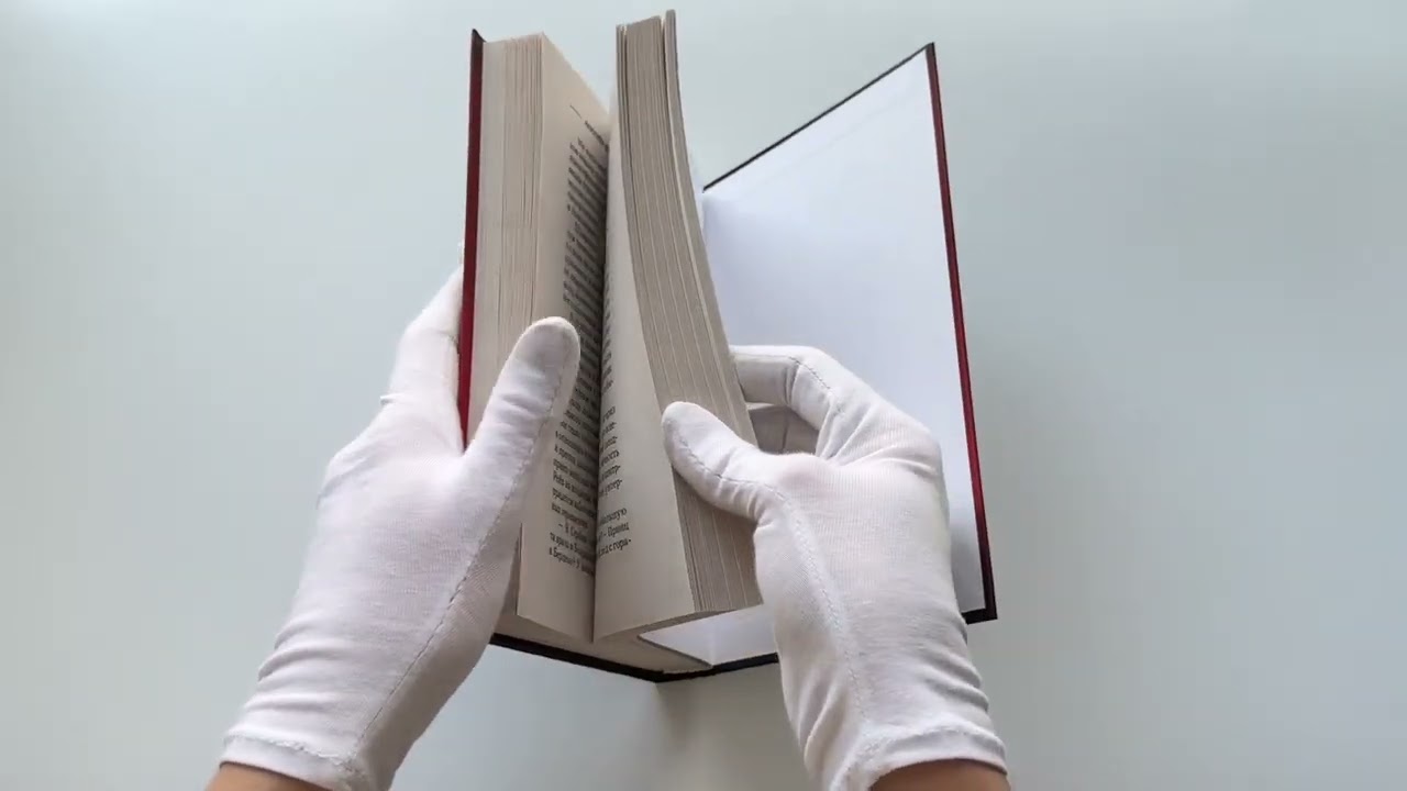 Книга Командировка в ад (Анатолий Дроздов, Анатолий Матвиенко) — 3