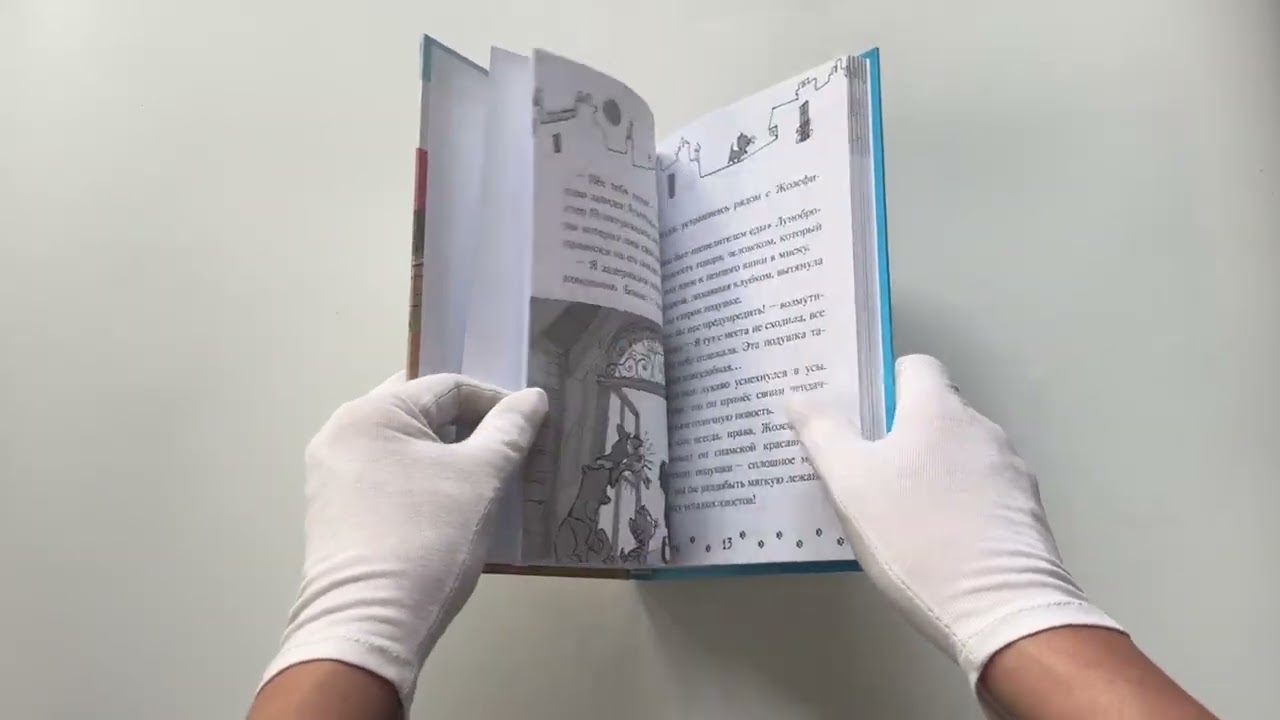Книга Таинственное исчезновение золотого кота (Алессандро Гатти, Давиде Морозинотто) — 3