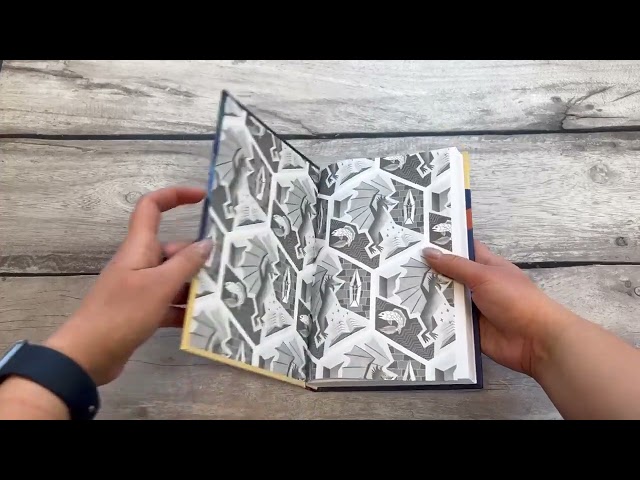 Книга Таня Гроттер и Исчезающий Этаж (Дмитрий Емец) — 3
